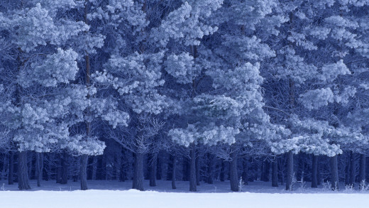 612783 (a): :1920x1080